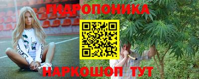 шишки Наро-Фоминск