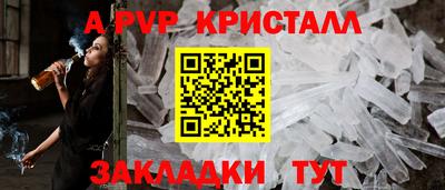 прущие грибы Можга