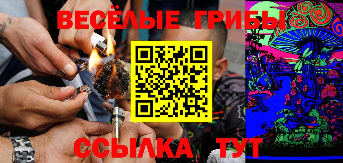 Псилоцибиновые грибы Psilocybe  Вход с VPN  продажа наркотиков  Псилоцибиновые грибы Psilocybe  Сорочинск 